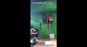 video capture t0000.00seg 4928 1